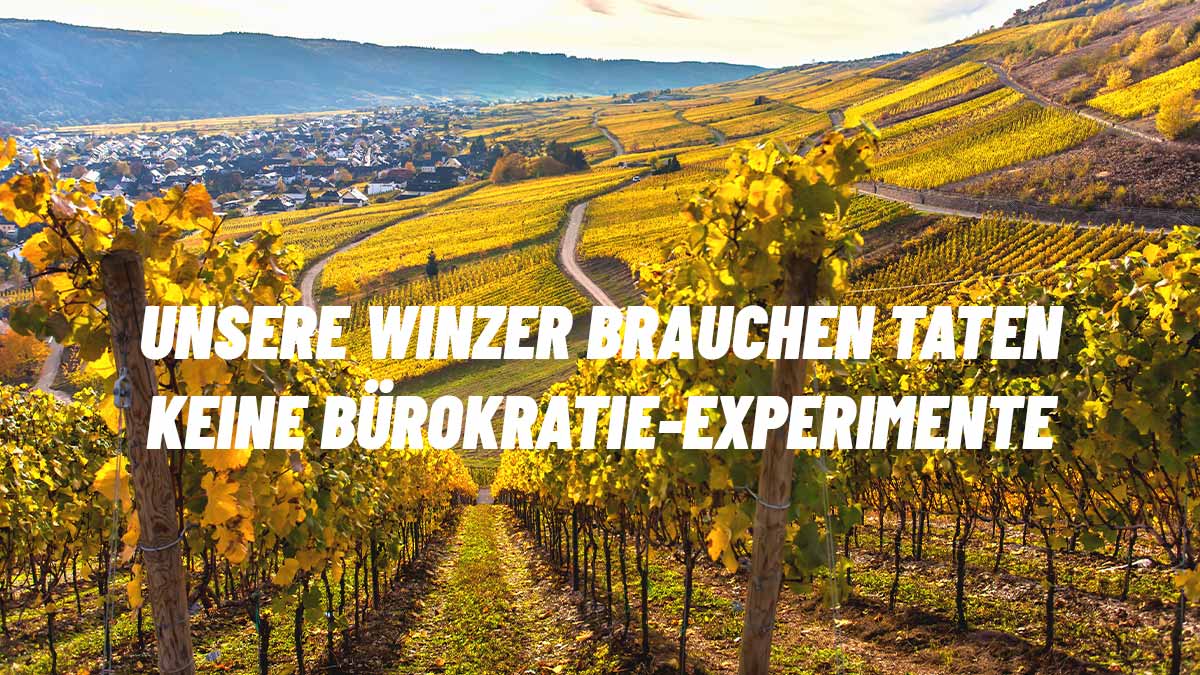 Blick über sonnige Weinberge in Rheinland-Pfalz mit gelben Herbstblättern. Im Vordergrund eine Rebreihe, im Hintergrund ein Dorf. Großes Zitat im Bild: „Unsere Winzer brauchen Taten – keine Bürokratie-Experimente“.