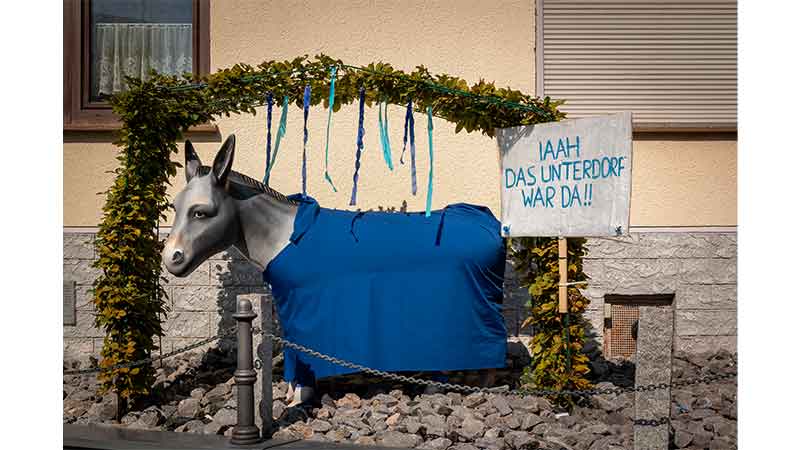 Dorndorfer Esel