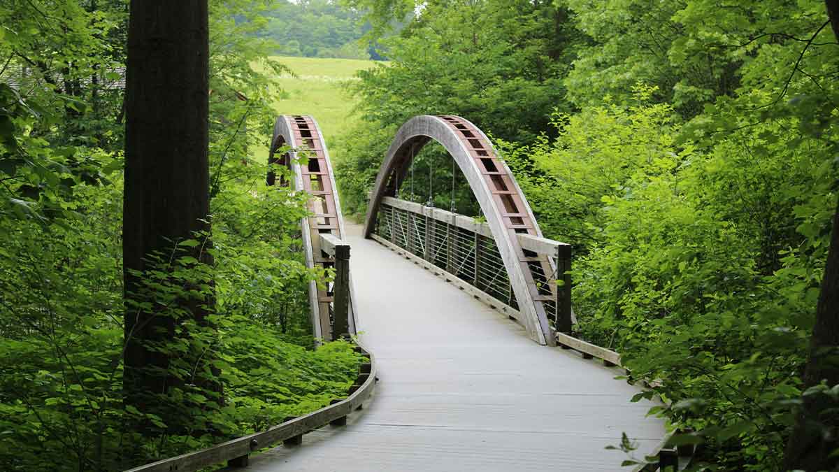 Holzbrücke und Radweg durch dichten, grünen Wald – Teil einer Radroute in der Region.