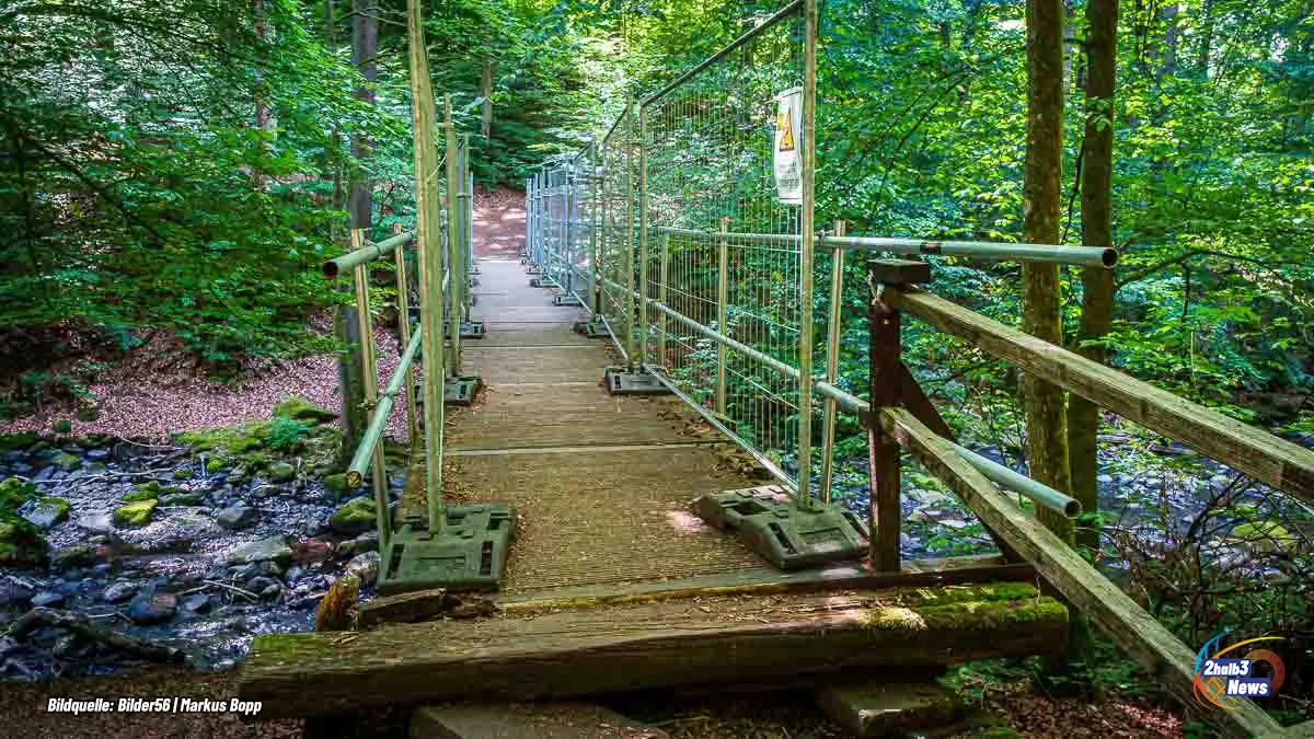 Verfallene Holzbrücke und beschädigter Wanderweg in der Holzbachschlucht bei Gemünden, umgeben von Basaltfelsen und dichtem Wald